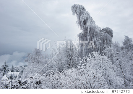 Winter landscape with hoarfrost on the trees Winter landscape with hoarfrost on the trees 97242773