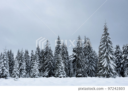 Christmas winter wonderland in the mountains with snow covered trees Christmas winter wonderland in the mountains with snow covered trees 97242803