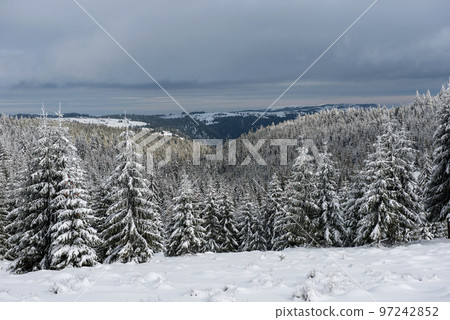 Magic winter holiday concept Magic winter holiday concept 97242852