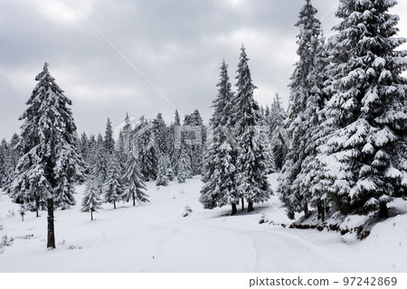 Magic winter holiday concept 97242869