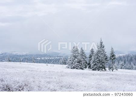 Winter landscape with frozen trees Winter landscape with frozen trees 97243060