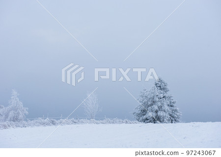 Winter landscape with frozen trees Winter landscape with frozen trees 97243067