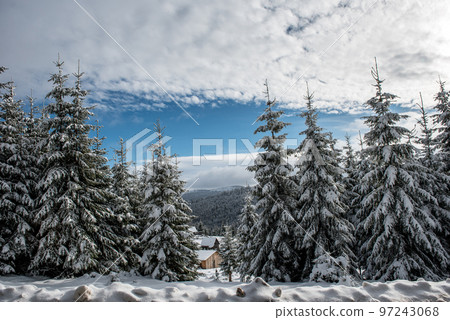 Winter landscape with frozen trees Winter landscape with frozen trees 97243068