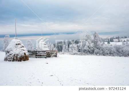 Winter countryside landscape 97243124