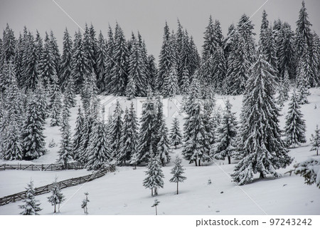 Winter landscape with snow on trees 97243242