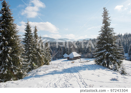 Winter woderland with chalet 97243304