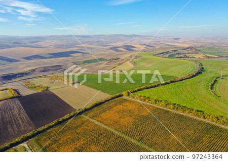 Aerial agricultural landscape, plantation field 97243364