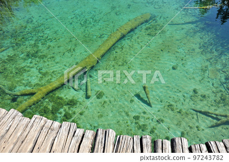 Wooden Bridge over a Pond in Plitvice National Park 97243782