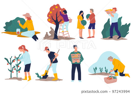 Harvesting season character working on field or farm Harvesting season character working on field or farm 97243994