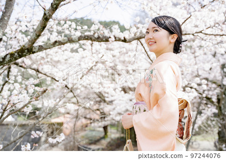 盛開的櫻花和穿著和服的女人 Sakura Spring 97244076