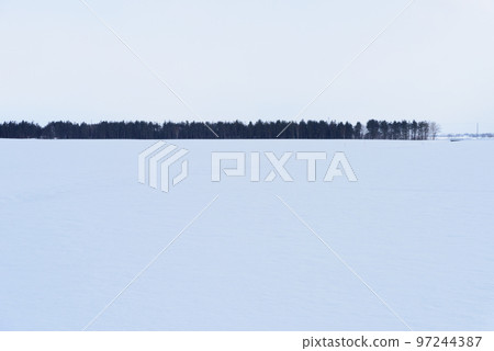 Hokkaido snow scene 97244387