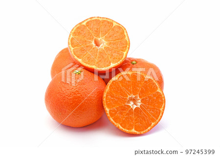 Mandarin Orange (Kintoki Beni/variety name is Ohara Beni Wase) Mandarin Orange (Kintoki Beni/variety name is Ohara Beni Wase) 97245399
