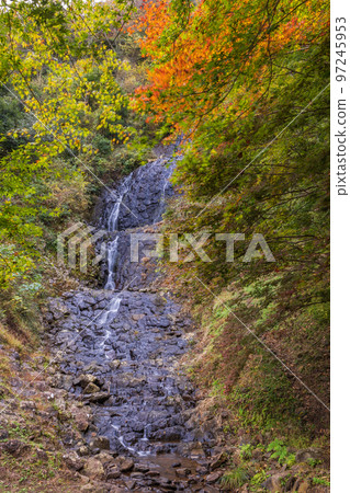 (靜岡縣)伊豆市朝日瀑布紅葉 (靜岡縣)伊豆市朝日瀑布紅葉 97245953