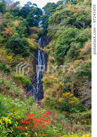 (Shizuoka Prefecture) Izu City Asahi Falls Autumn Leaves 97245959