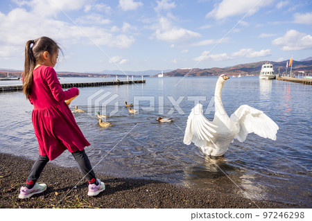 與山中湖天鵝互動的少女 97246298