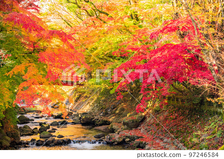 (Shizuoka Prefecture) Shuzenji Onsen Katsura River Autumn leaves 97246584