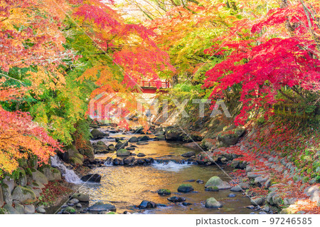 （靜岡縣）修善寺溫泉桂川秋葉 97246585