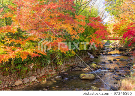 （靜岡縣）修善寺溫泉桂川秋葉 97246590