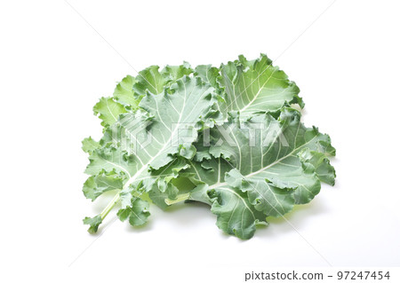 Petit vert、綠色和黃色蔬菜、葉類蔬菜、新鮮收穫的蔬菜、健康蔬菜、新蔬菜 97247454