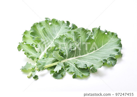 Petit vert、綠色和黃色蔬菜、葉類蔬菜、新鮮收穫的蔬菜、健康蔬菜、新蔬菜 Petit vert、綠色和黃色蔬菜、葉類蔬菜、新鮮收穫的蔬菜、健康蔬菜、新蔬菜 97247455