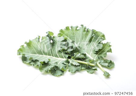 Petit vert, green and yellow vegetables, leafy vegetables, freshly harvested vegetables, healthy vegetables, new vegetables 97247456