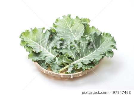 Petit vert、綠色和黃色蔬菜、葉類蔬菜、新鮮收穫的蔬菜、健康蔬菜、新蔬菜 97247458