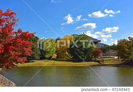Nara Prefecture Nara Park Great Buddha Pond Autumn Leaves 97248943