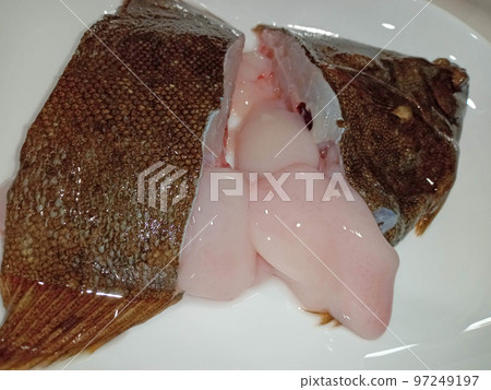 比目魚的牛奶 97249197