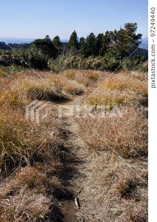 Animal trail Animal trail 97249440