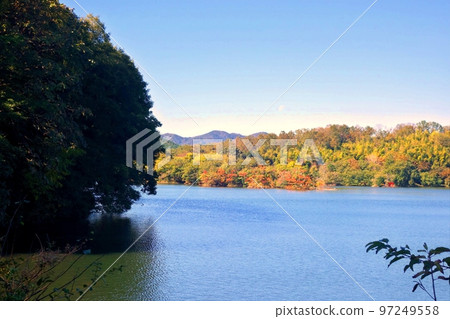 Lake Ippeki Eyes of Izu End of October -5 Lake Ippeki Eyes of Izu End of October -5 97249558