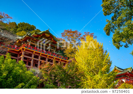 Ginkgo Ginkgo 97250401