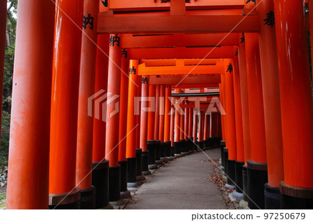 秋天的伏見稻荷大社:千鳥居(奧社參拜處→熊孝神社) 秋天的伏見稻荷大社:千鳥居(奧社參拜處→熊孝神社) 97250679