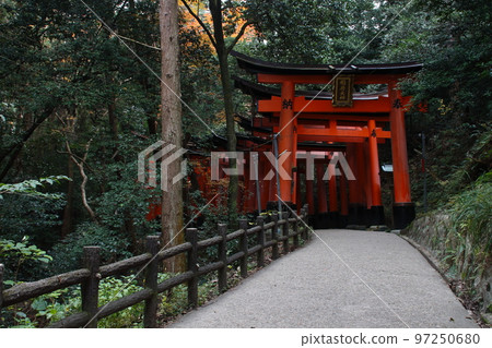 秋天的伏見稻荷大社：千鳥居（奧社參拜處→熊孝神社） 97250680