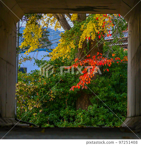 autumn leaves exit 97251408