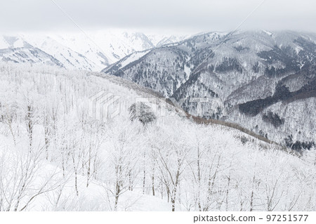 Snow scene in Hakuba Village, Nagano Prefecture in winter Snow scene in Hakuba Village, Nagano Prefecture in winter 97251577