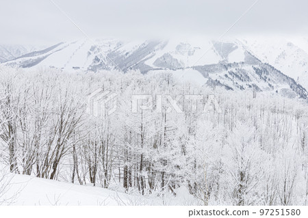 Snow scene in Hakuba Village, Nagano Prefecture in winter 97251580