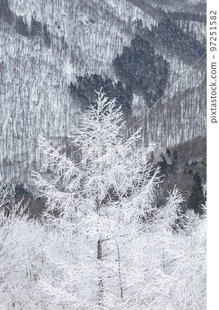 Snow scene in Hakuba Village, Nagano Prefecture in winter 97251582