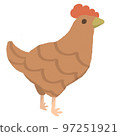 布朗雞 97251921