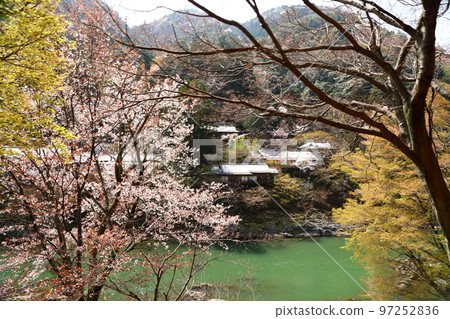 Hozugawa峽谷 Hozugawa峽谷 97252836