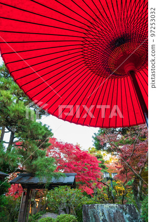 Shokoso in Autumn <Nishio City, Aichi Prefecture> 97253032