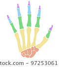 Bones of Hand Color Labeled 97253061