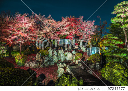 《Aichi Prefecture》Autumn Nagoya Castle open to the public at night Nagoya Castle Ninomaru garden lit up at night 97253577