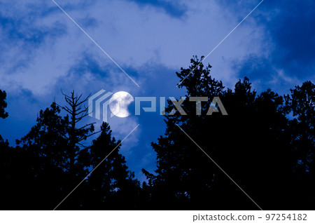 Full moon rising over the forest 2 Full moon rising over the forest 2 97254182
