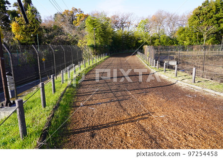相模原麻美三公園越野課程 相模原麻美三公園越野課程 97254458