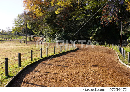 Sagamihara Asamizo Park Cross Country Course 97254472