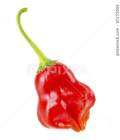 Ripe red chili pepper isolated on a white background. Capsicum baccatum or Bishop's crown pepper. 97255084