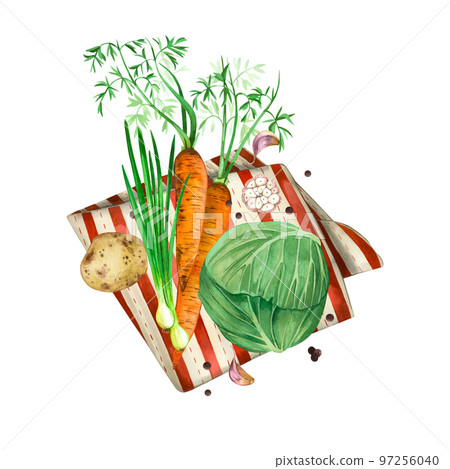 Cooking. Composition of vegetables, cabbage, carrots, green onions, garlic and a striped red and white napkin. All elements are hand-drawn in watercolor. For printing, scrapbooking, fabric, tableware Cooking. Composition of vegetables, cabbage, carrots, green onions, garlic and a striped red and white napkin. All elements are hand-drawn in watercolor. For printing, scrapbooking, fabric, tableware 97256040