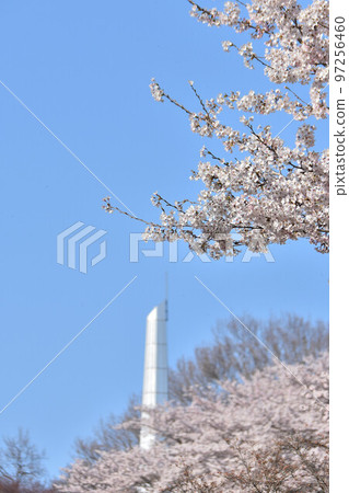 To木縣矢田市長谷公園 To木縣矢田市長谷公園 97256460