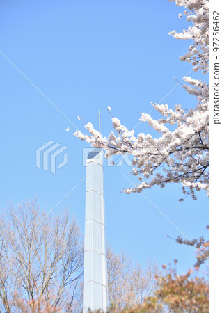 To木縣矢田市長谷公園 To木縣矢田市長谷公園 97256462