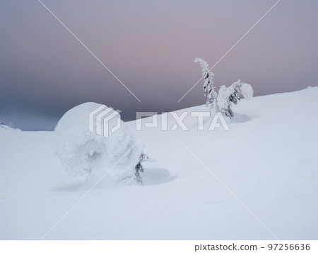 Winter snow-covered frosty natural background with a frozen fir tree. Minimalistic landscape with a lonely naked snowy tree in a winter field. Amazing scene in cloudy and foggy weather. Winter snow-covered frosty natural background with a frozen fir tree. Minimalistic landscape with a lonely naked snowy tree in a winter field. Amazing scene in cloudy and foggy weather. 97256636